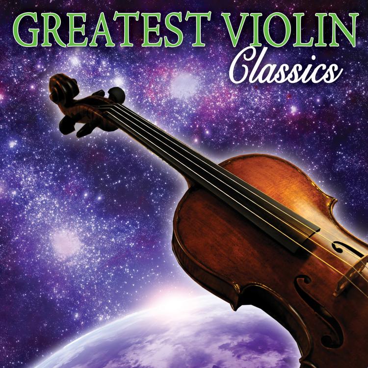 Vienna Violin Ensemble's avatar image