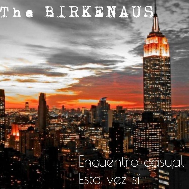 The Birkenaus's avatar image