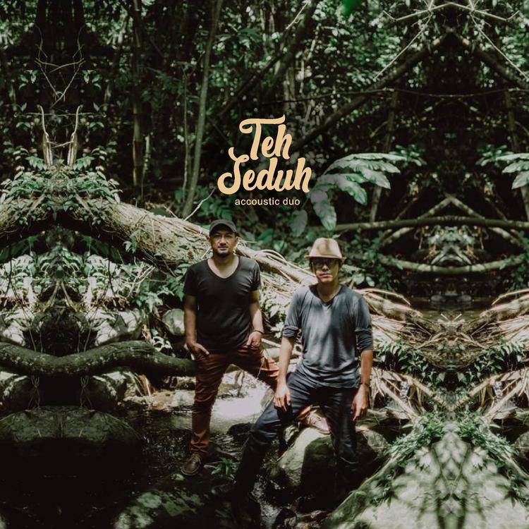Teh Seduh (Acoustic Duo)'s avatar image