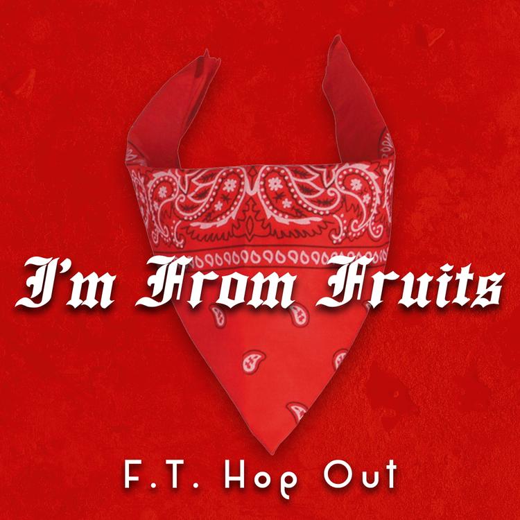 F.T. Hop Out's avatar image