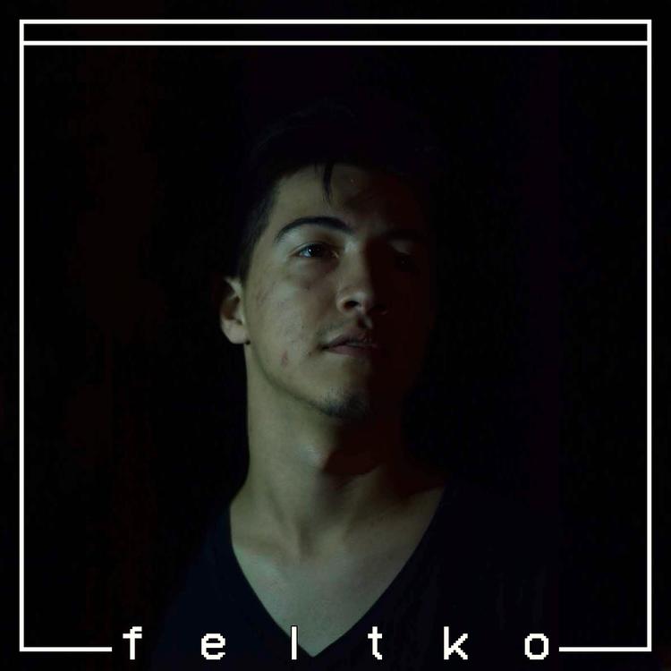 Feltko.'s avatar image