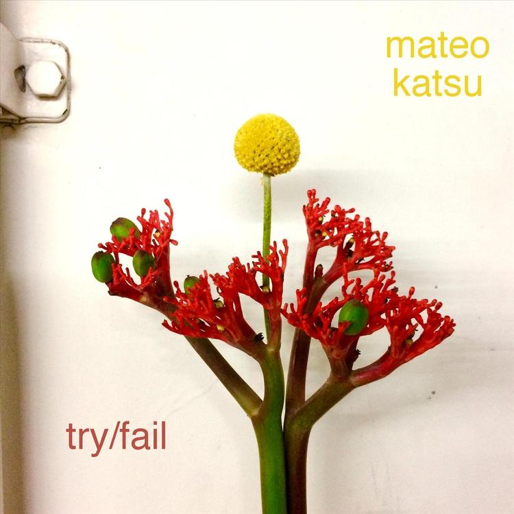 Mateo Katsu's avatar image