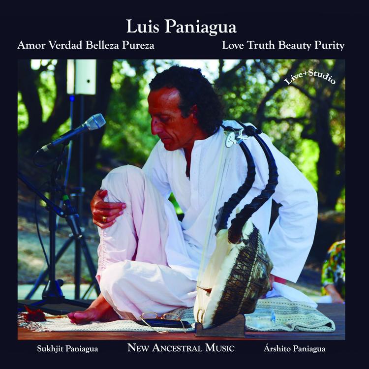 Luis Paniagua's avatar image