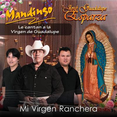 Mi Virgen Ranchera (feat. José Guadalupe Esparza)'s cover