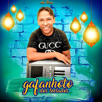 Aquela Amor Que Faz Gostoso Me Deixou (Ao Vivo) By Gafanhoto dos Teclados's cover