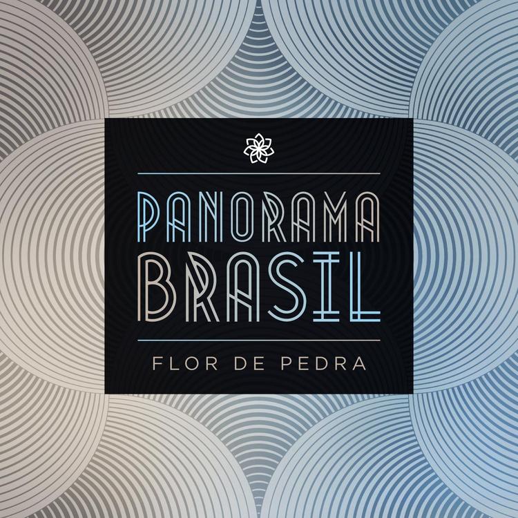 Panorama Brasil's avatar image