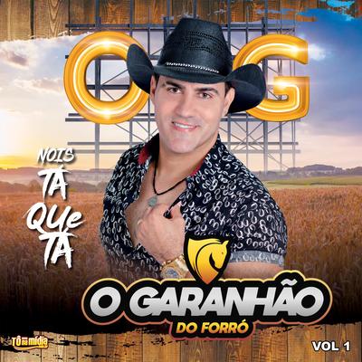 Sou Fazendeiro By O Garanhão do Forró's cover