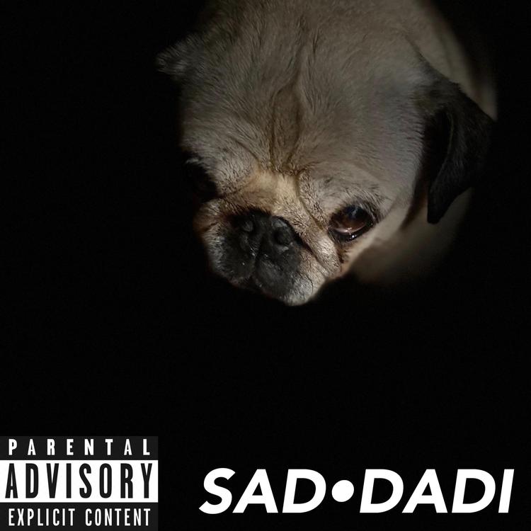 Sad Dadi's avatar image