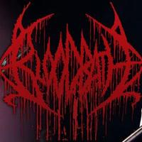 Bloodbath's avatar cover