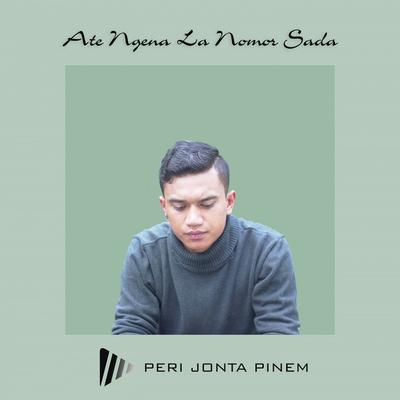 Peri Jonta Pinem's cover