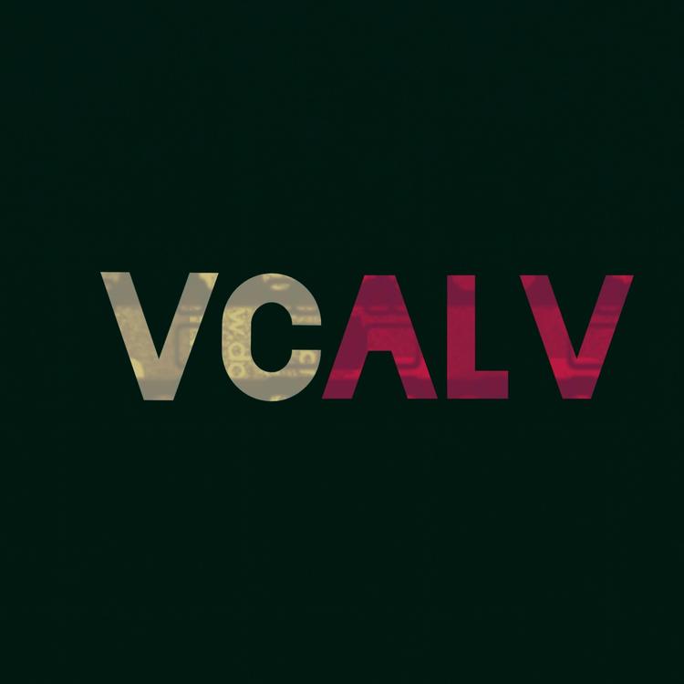 Vendicatori Calvi's avatar image
