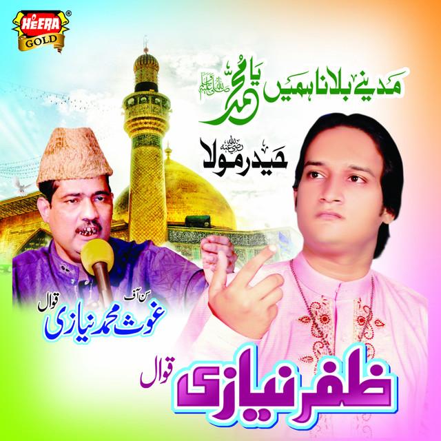 Zaffar Niazi Qawwal's avatar image