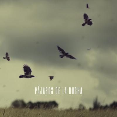 Los Pajaros Cantores's cover
