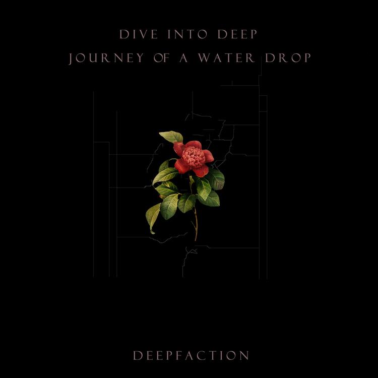 Dive Into Deep's avatar image