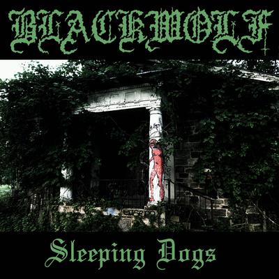 Sleeping Dogs By Black Wolf's cover