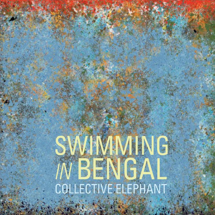 Swimming in Bengal's avatar image