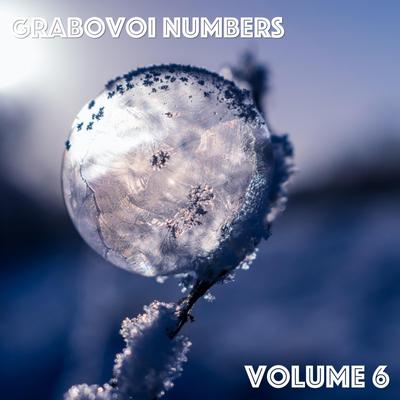 Grabovoi Numbers, Vol. 6's cover