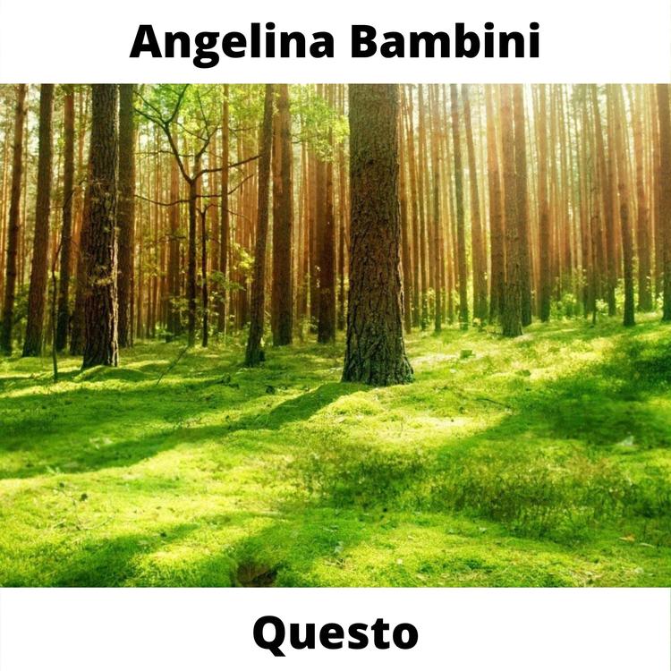 Angelina Bambini's avatar image