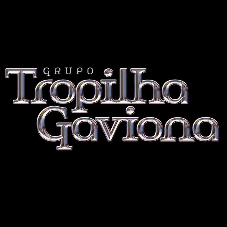 Grupo Tropilha Gaviona's avatar image