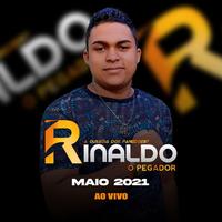 Rinaldo o Pegador's avatar cover