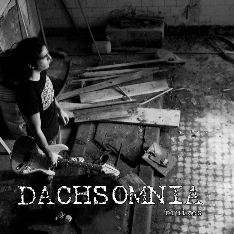 Dachsomnia's avatar image