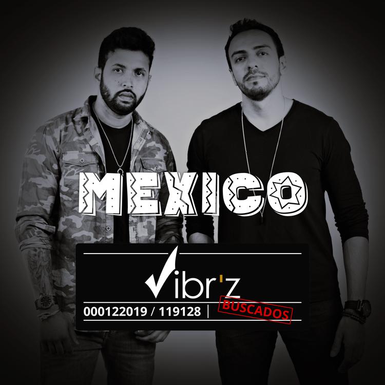 Vibr'Z's avatar image