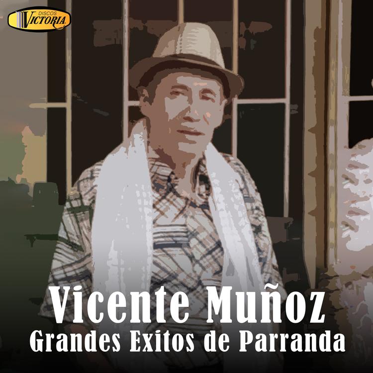 Vicente Muñoz's avatar image