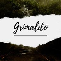 Michel Grimaldo's avatar cover