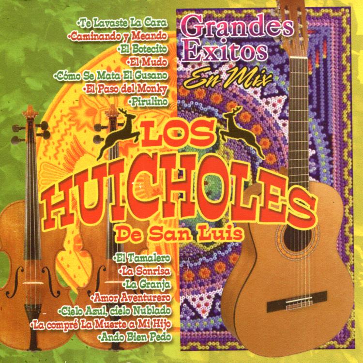 Los Huicholes de San Luis's avatar image