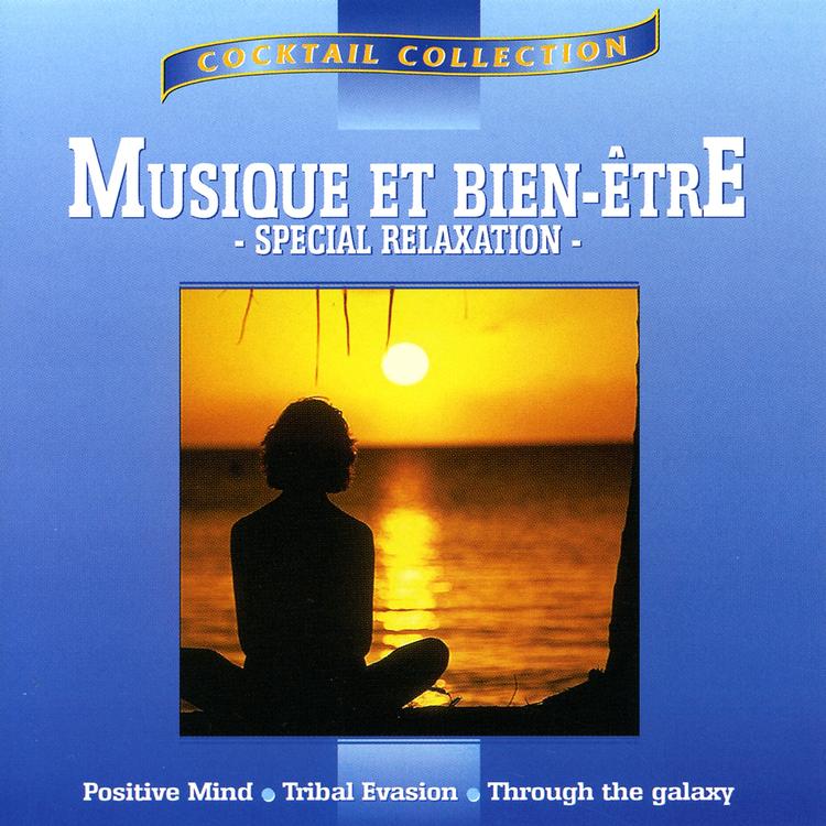 Music And Wellness (Musique Et Bien Etre)'s avatar image