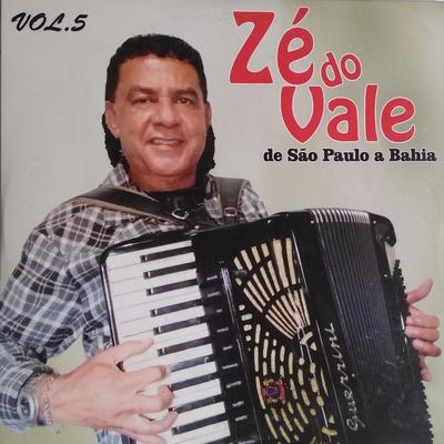 Zé do Vale's cover