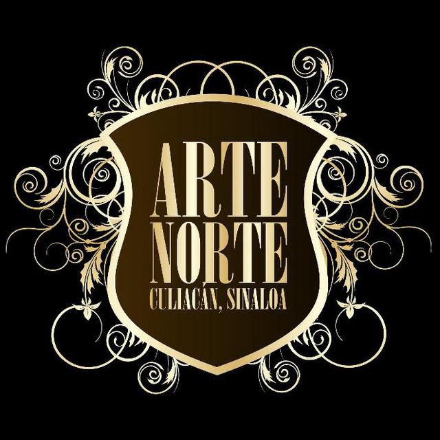 Arte Norte's avatar image