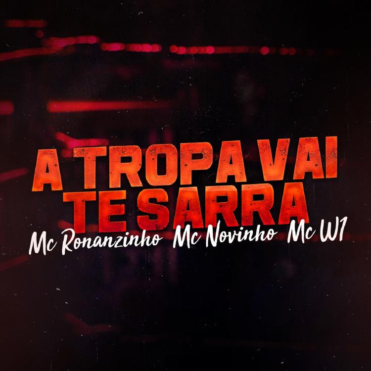 MC Ronanzinho, Mc Novinho, Mc W1's avatar image