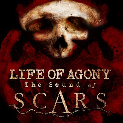 Empty Hole By Life of Agony's cover