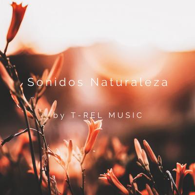 Sonidos Naturaleza's cover