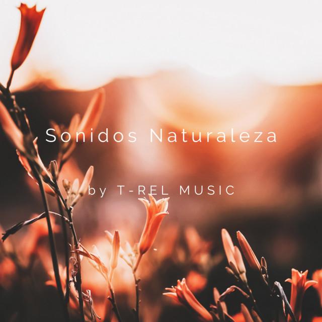 Sonidos Naturaleza's avatar image