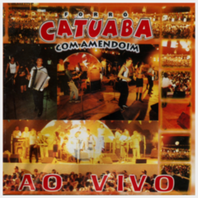 Eu sou um Santo (Ao Vivo) By Catuaba Com Amendoim's cover