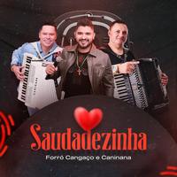 Forro Cangaço's avatar cover