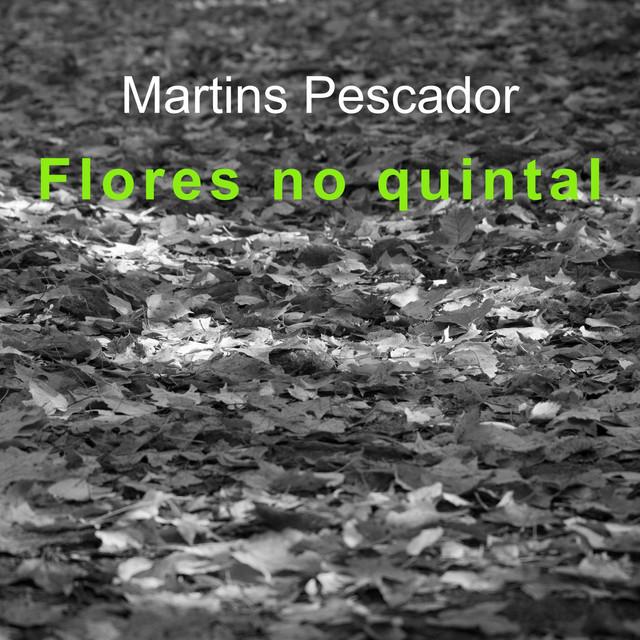Martins Pescador's avatar image