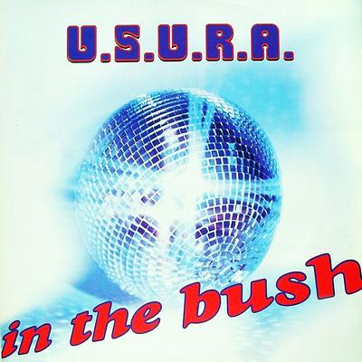 In the Bush (Come On and Do It Mix) By U.S.U.R.A.'s cover