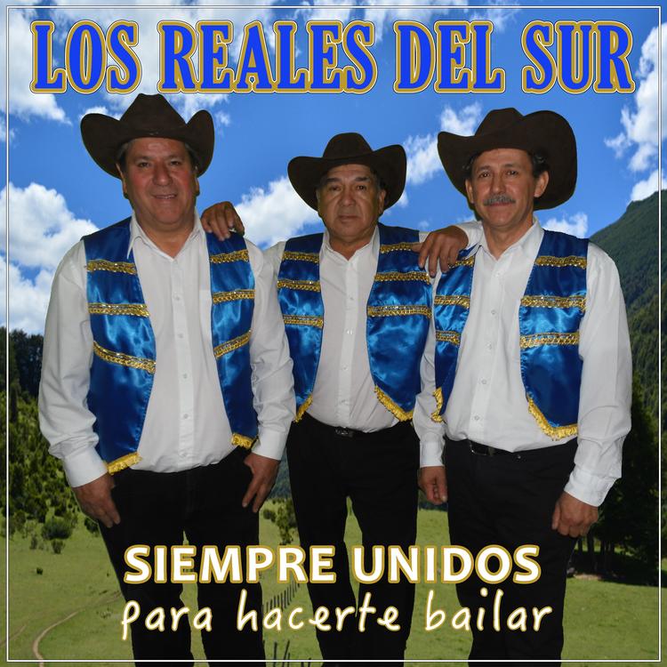 Los Reales del Sur's avatar image