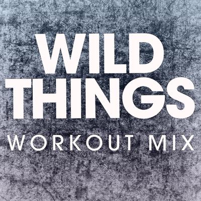 Wild Things - Single's cover