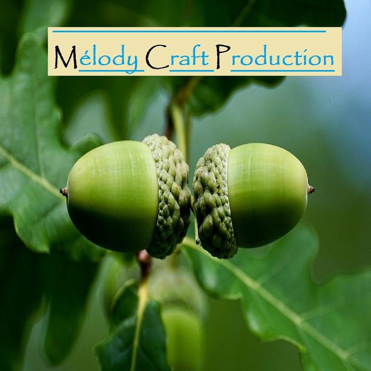 MC Production's avatar image
