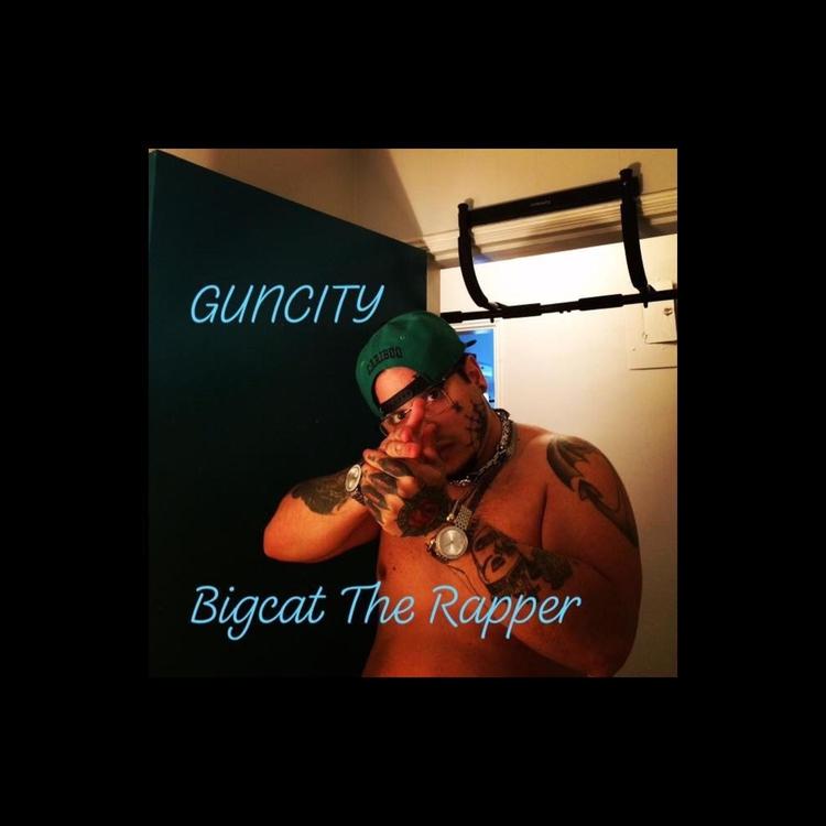 Bigcat the Rapper's avatar image