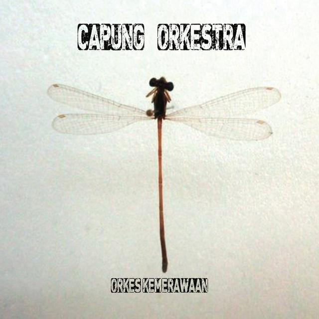 Capung Orkestra's avatar image