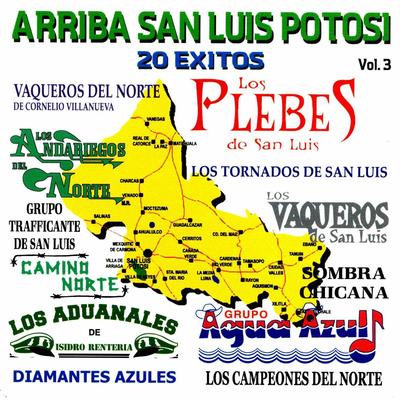 Arriba San Luis Potosi, Vol. 3's cover