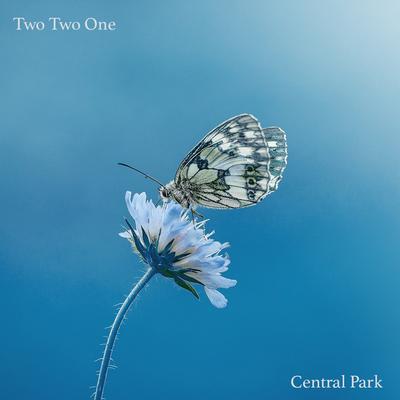 Two Two One's cover