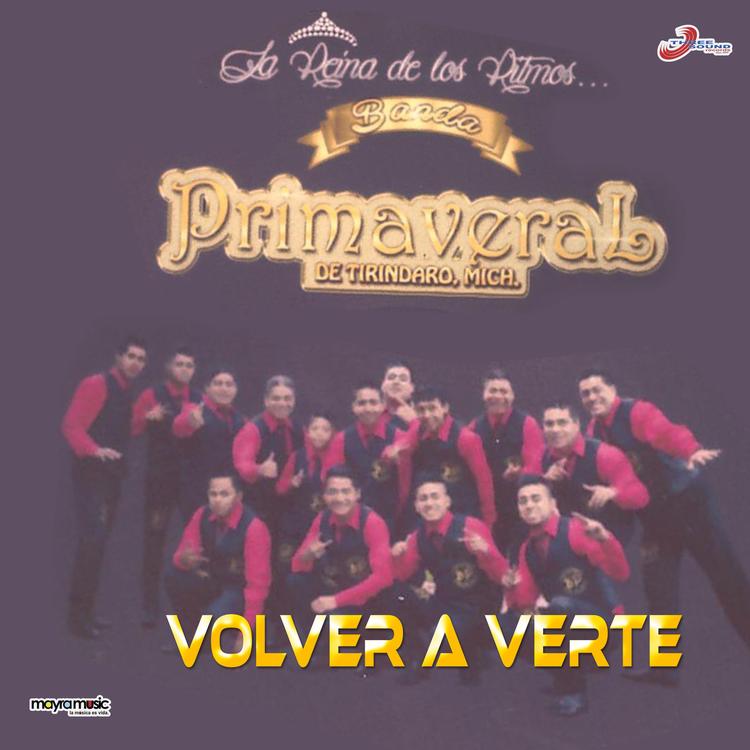 Banda Primaveral's avatar image