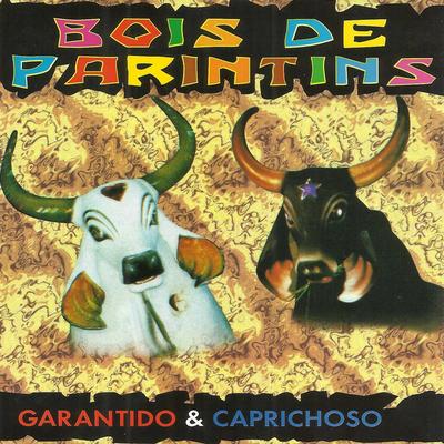Bois de Parintins - Garantido e Caprichoso's cover
