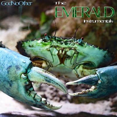 The Emerald Instrumentals's cover